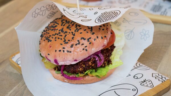 vegan burger