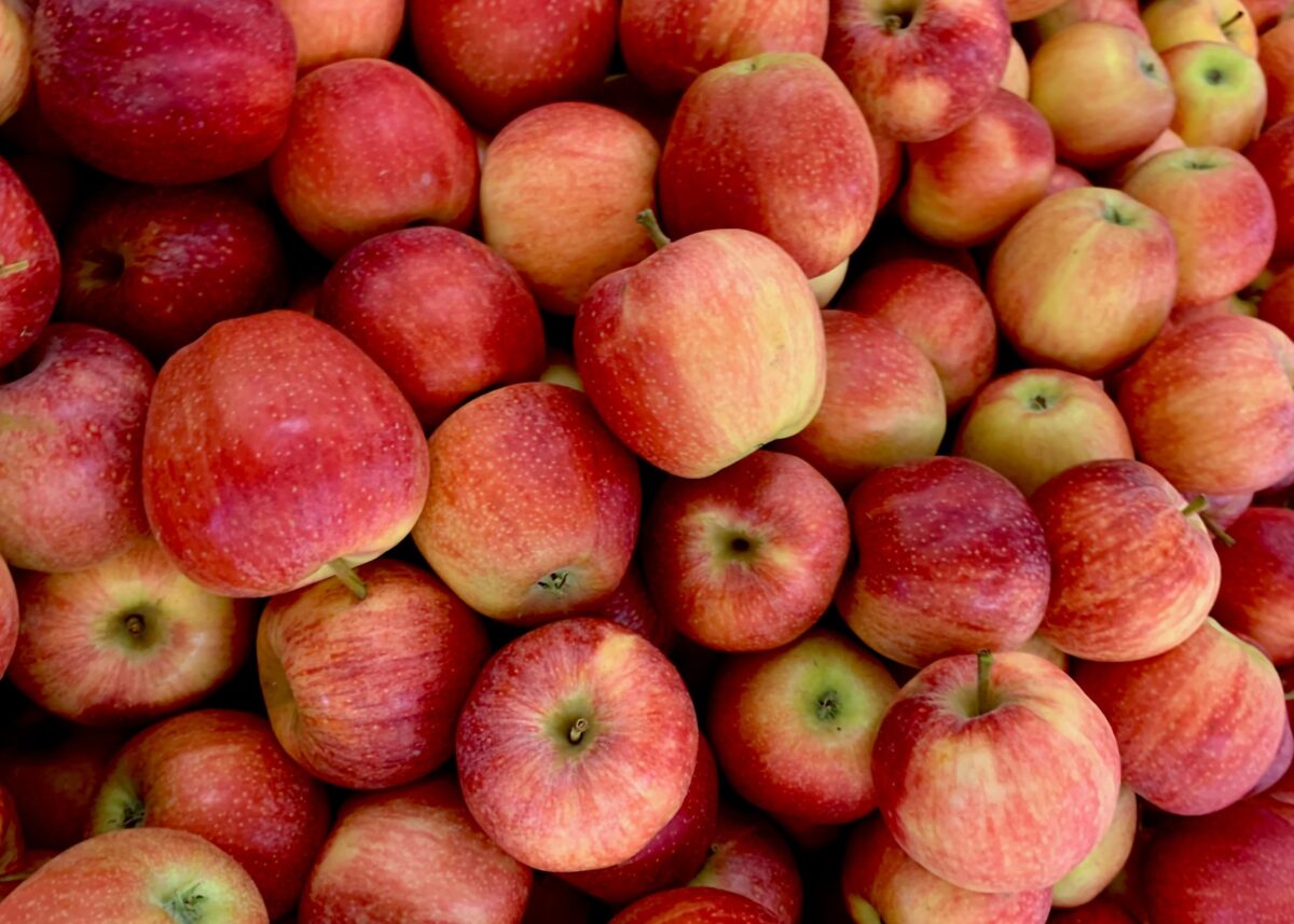 Σημαντικά εμπόδια στις εξαγωγές μήλων