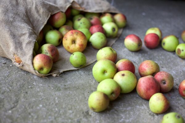 εξαγωγές μήλων