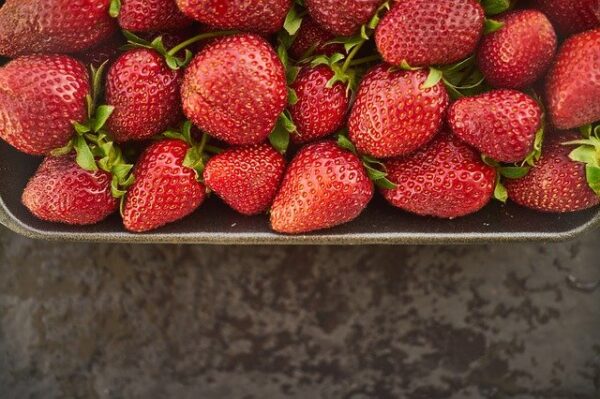 εξαγωγές φράουλας