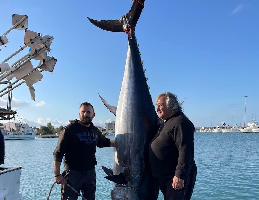 Ο τόνος 400 κιλών που ψάρεψαν στην Κυλλήνη…δεν χωράει στην φωτογραφία!