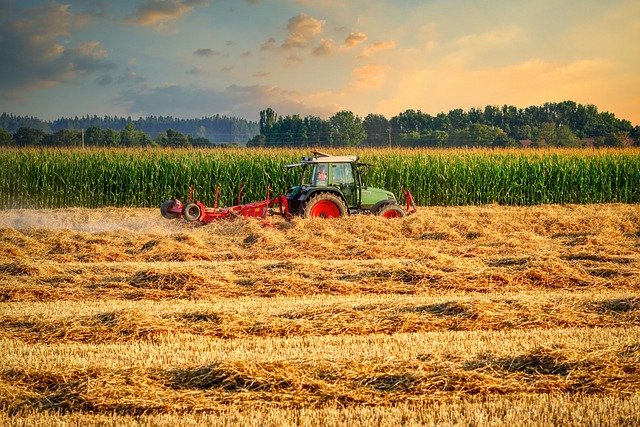 Ουκρανία: Αίτημα άρσης των περιορισμών στις εξαγωγές σιταριού