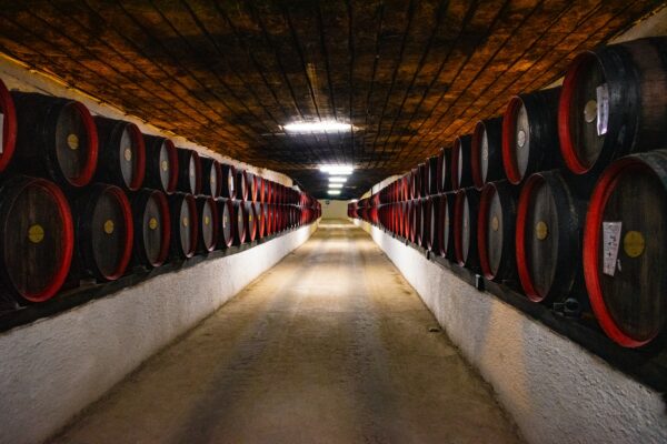 Αύξηση παραγωγής κρασιού στη Γαλλία