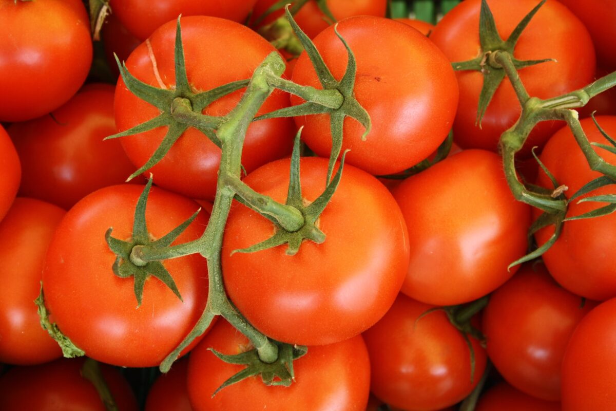 Σε ρυθμούς ρεκόρ οι εξαγωγές ντομάτας και πιπεριάς