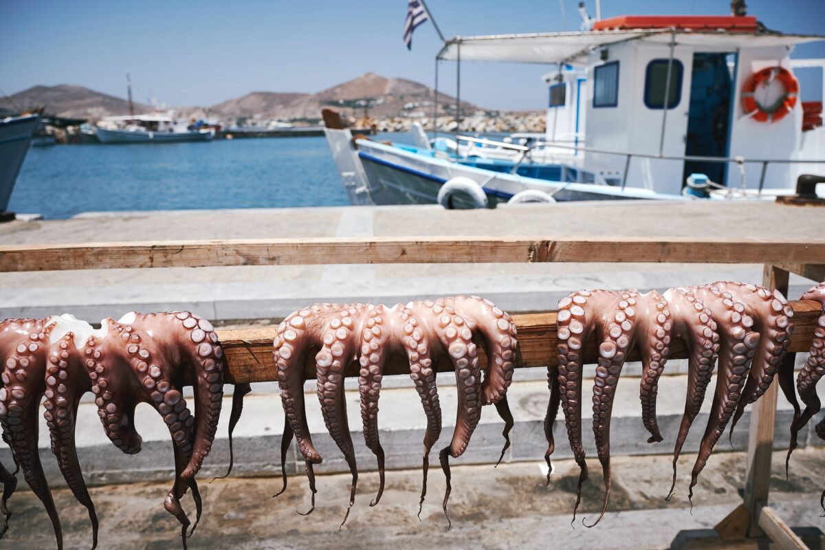 Η Ελλάδα κορυφαίος προορισμός για αλιευτικό τουρισμό