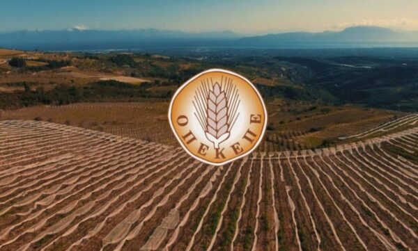 νέα διοίκηση του ΟΠΕΚΕΠΕ
