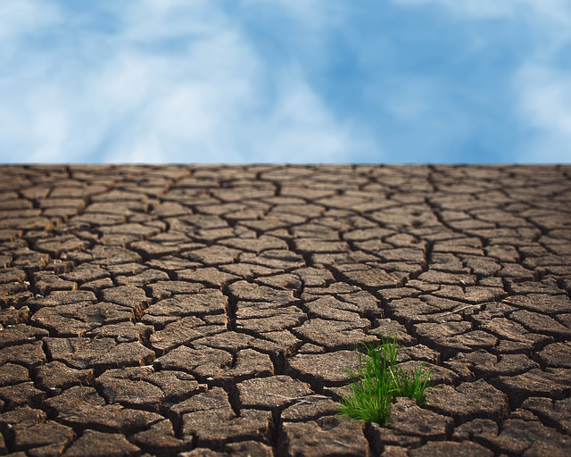 Καύσωνας και ξηρασία απειλούν την αγροτική παραγωγή και την οικονομία