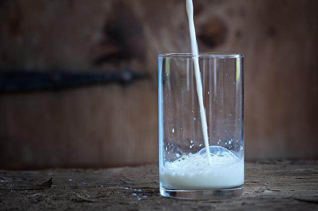 Πόσο υγιεινό είναι το γάλα που πίνουμε-Οι φυτικές τροφές που το αντικαθιστούν