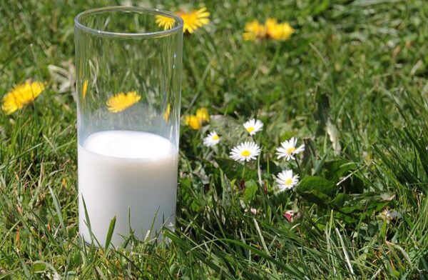 γάλα προβλήματα υγείας