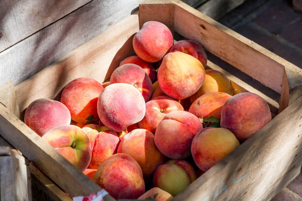 Καλοκαιρινά φρούτα: Πού οφείλονται οι μειωμένες εξαγωγές φέτος