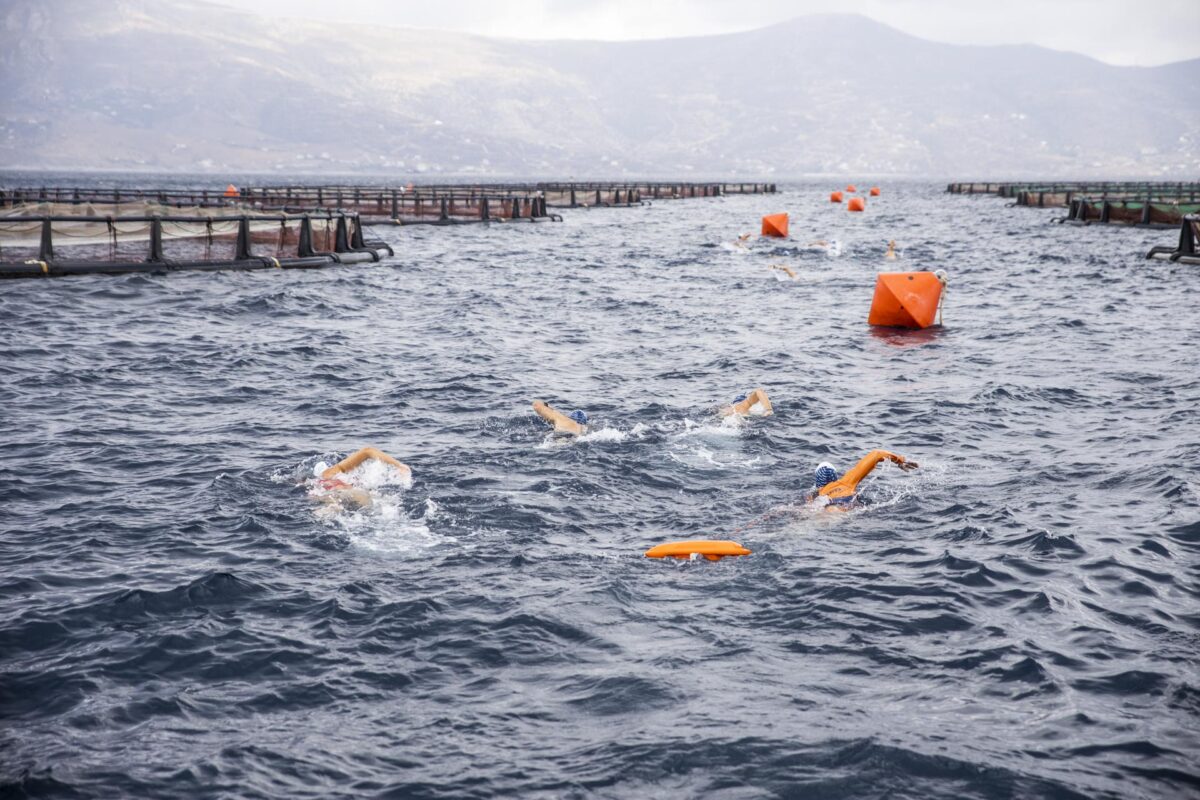 Κολυμβητική-γαστρονομική εκδήλωση με πρωτοβουλία της ΕΛΟΠΥ στην Κάρυστο