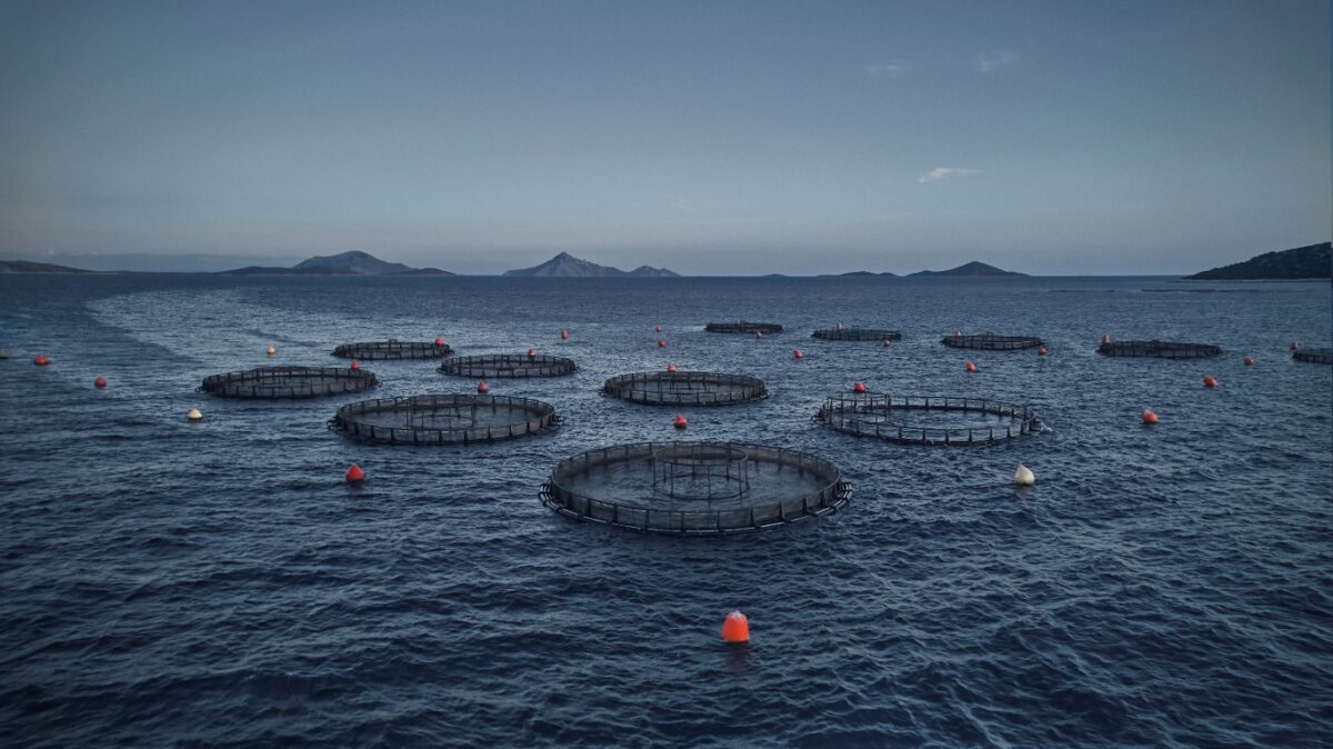 Αποζημιώσεις σε αλιεία και υδατοκαλλιέργεια – Ξεκίνησαν οι αιτήσεις