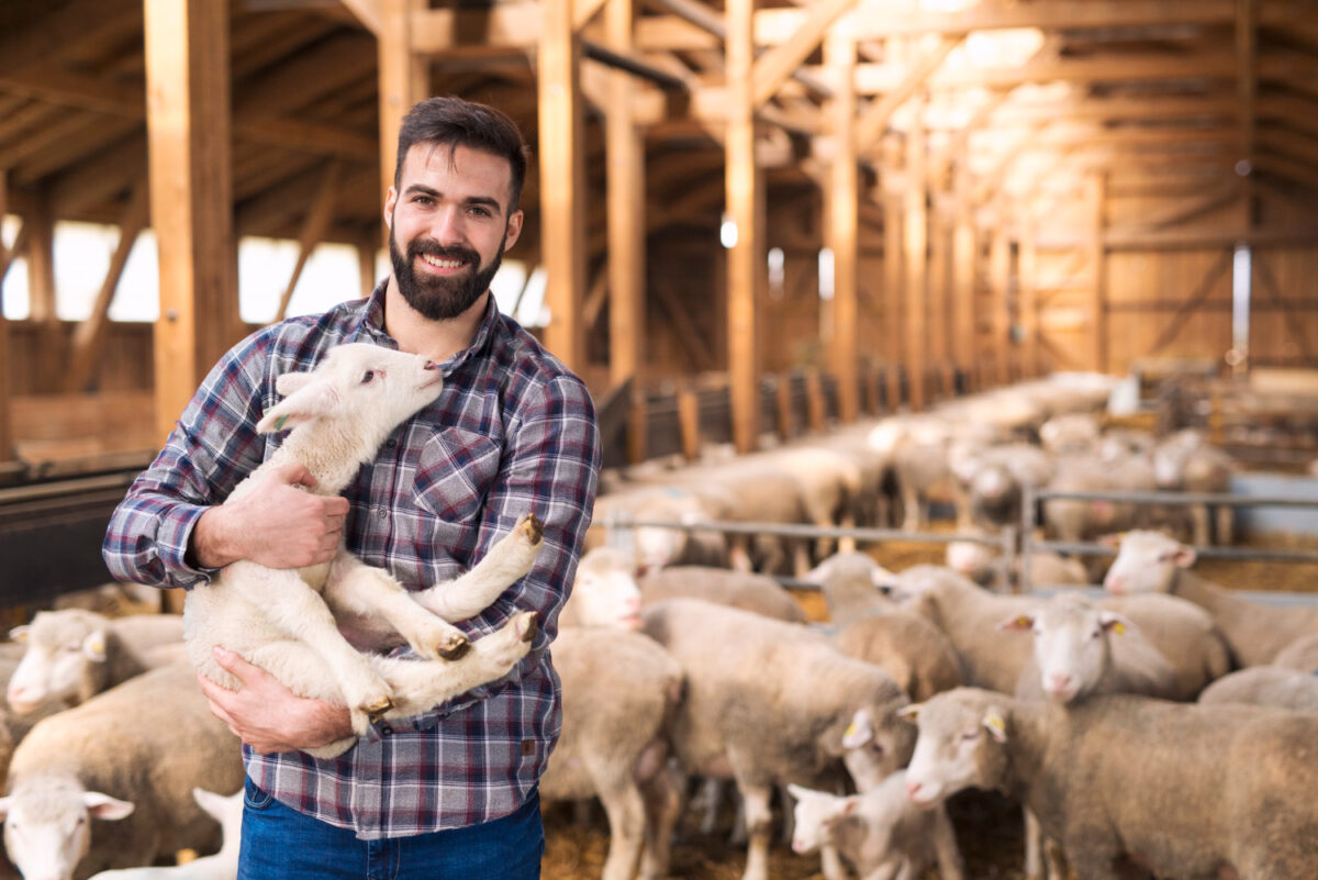 Ενισχύσεις για ζωοτροφές: Πότε θα γίνει η πληρωμή των 85,9 εκατ. ευρώ στους κτηνοτρόφους