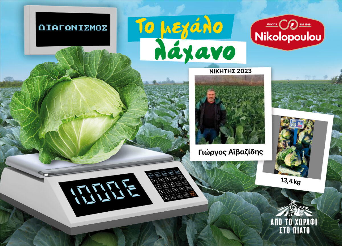 Διαγωνισμός «Το Μεγάλο Λάχανο» από την Nikolopoulou foods