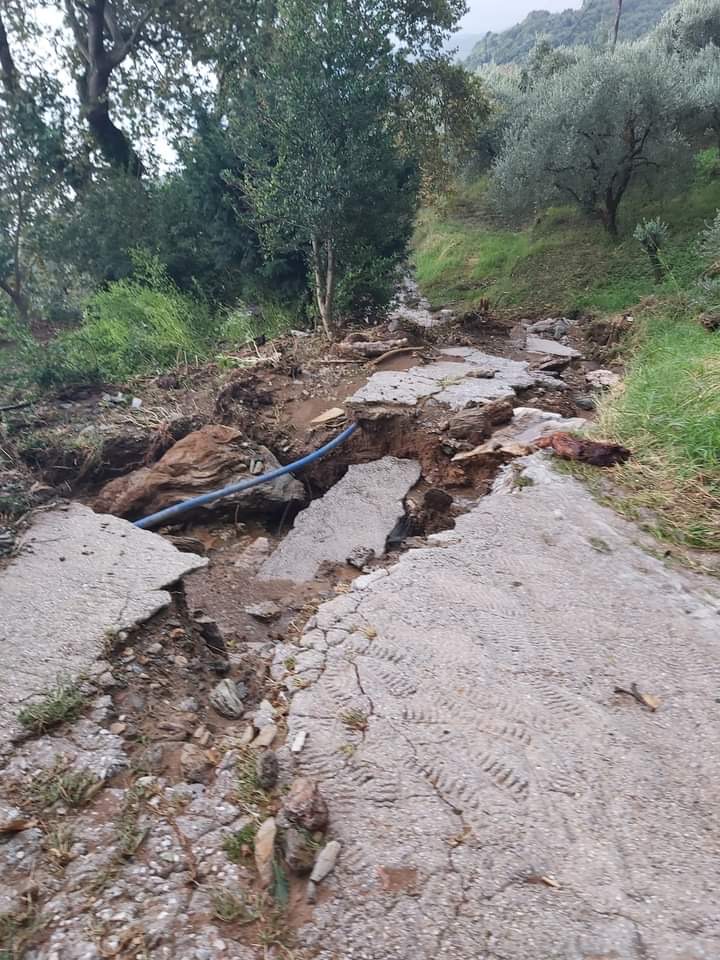 Αγροτικός Συνεταιρισμός ΖΑΓΟΡΙΝ: «Κρίνεται η επιβίωσή μας»