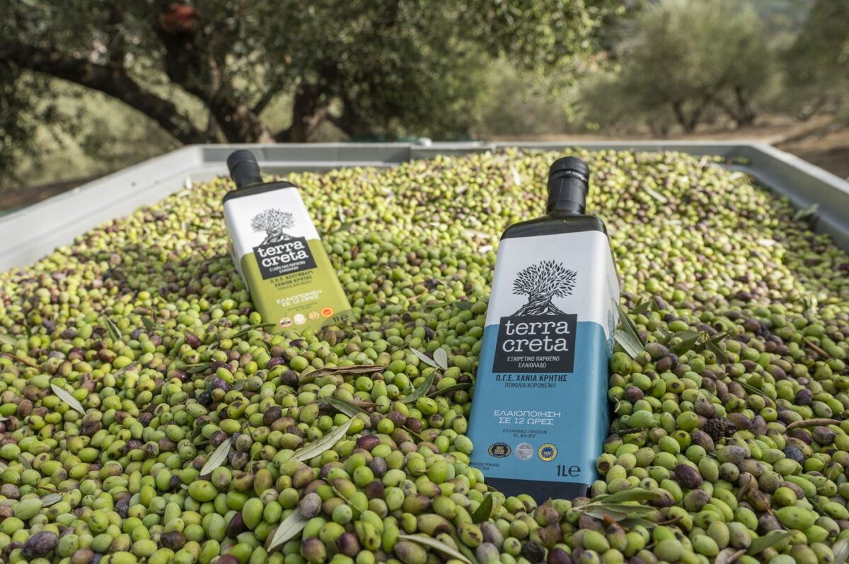 Παγκόσμια Πρωτιά για την Κρητική Terra Creta: Νο 1 Ελαιόλαδο Κορωνέικης ποικιλίας στον κόσμο