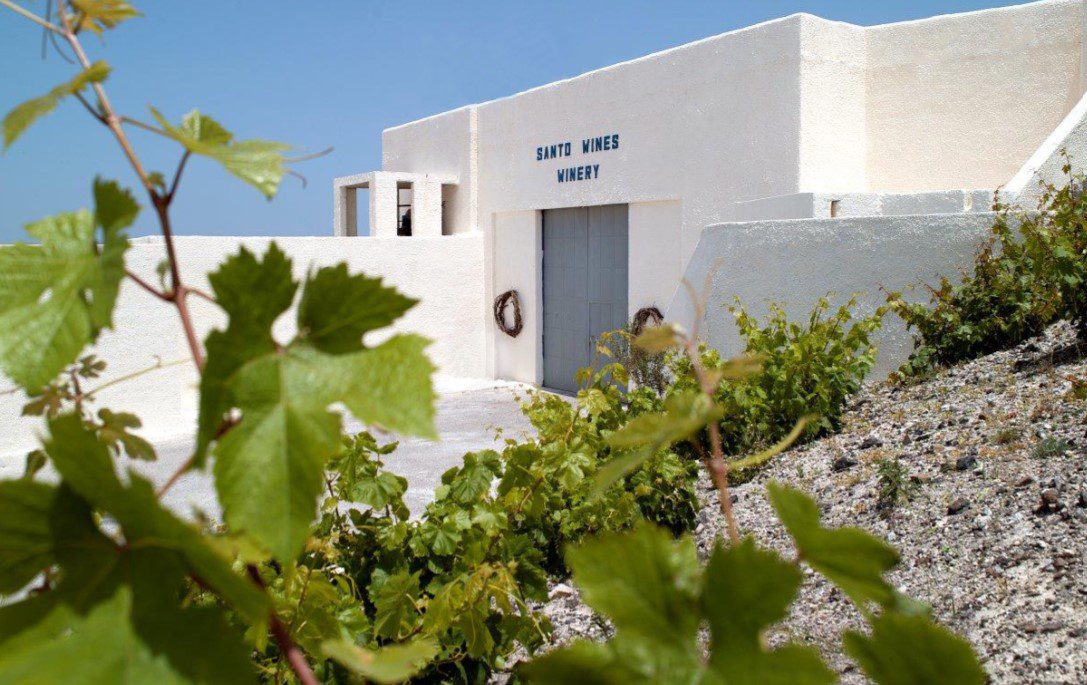 Διακρίσεις για 8 κρασιά της Santo Wines στα Decanter World Wine Awards 2025