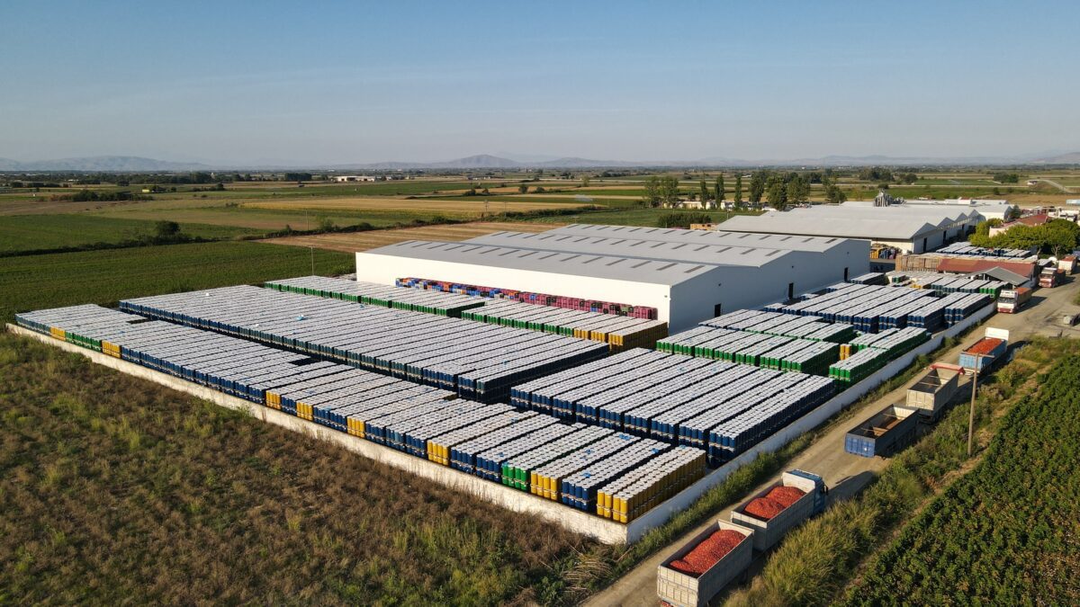 Damavand: Αύξηση πωλήσεων 19% και του EBITDA κατά 57%