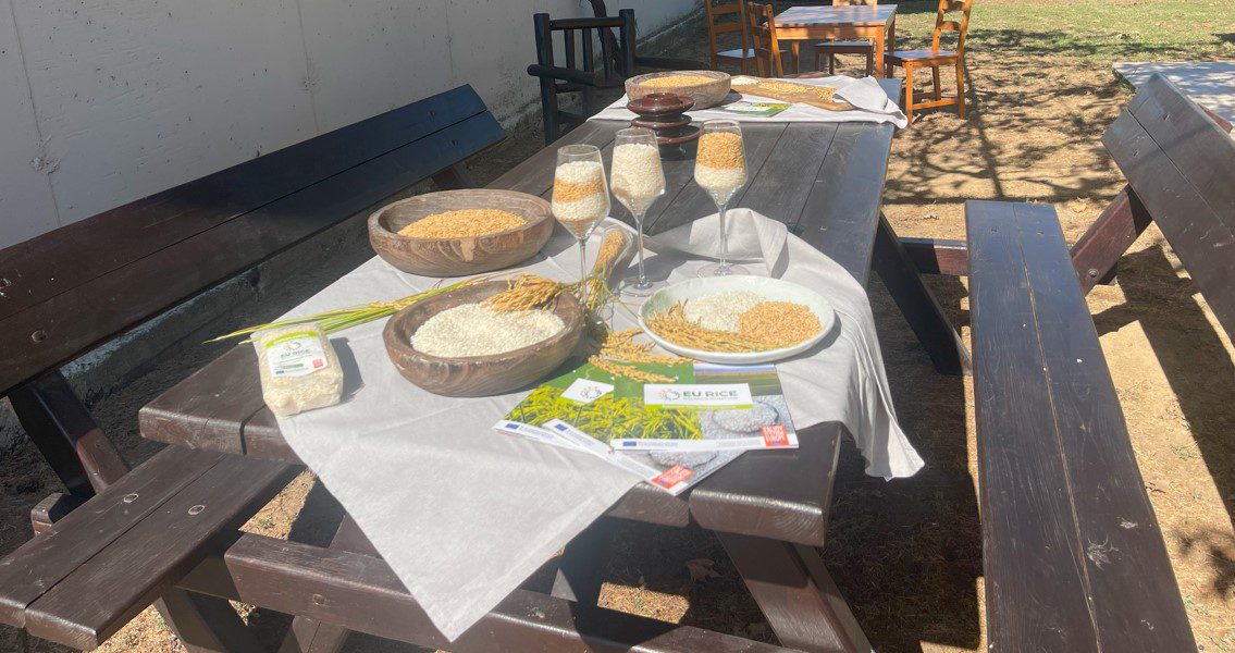 Το ελληνικό ρύζι «επανασυστήνεται» με τη σφραγίδα του EU RICE