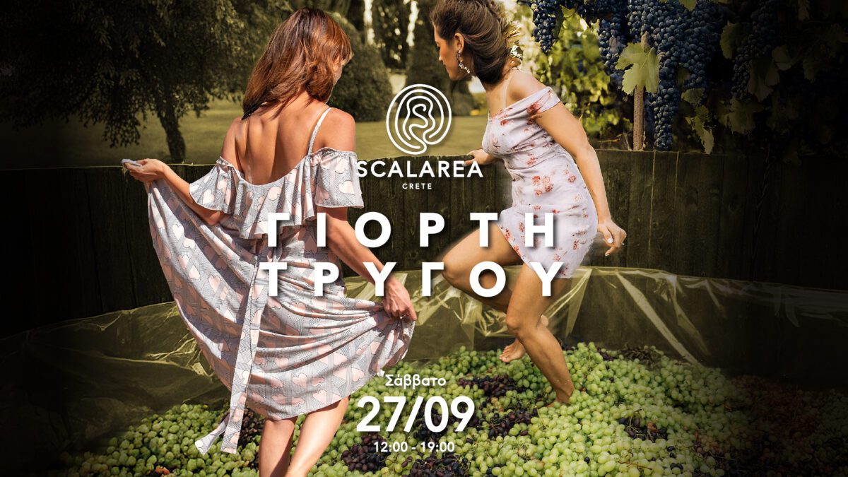 Γιορτή Τρύγου στο Κτήμα Scalarea: Ζήστε τη μαγεία του κρητικού αμπελώνα