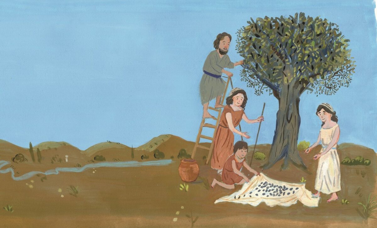 «Η ελιά και τα δώρα της αγάπης»: Νέα παιδική έκδοση από το Πολιτιστικό Ίδρυμα Ομίλου Πειραιώς