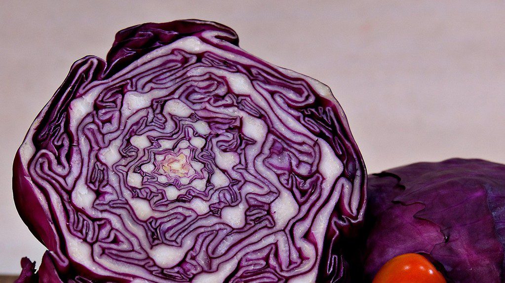 Το «μυστικό» πίσω από το μωβ χρώμα στα τρόφιμα – Ποια είναι το οφέλη τους