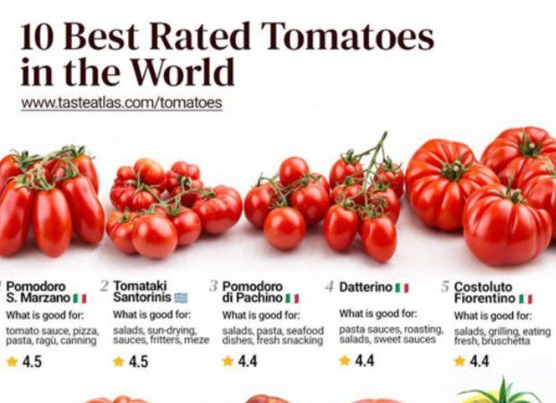 Το ντοματάκι Σαντορίνης διακρίνεται σε λίστα του Taste Atlas