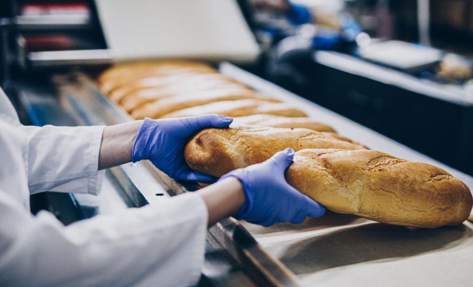 TÜV NORD Ελλάδας: Νέο σεμινάριο για την «Υγιεινή και Ασφάλεια Τροφίμων» 