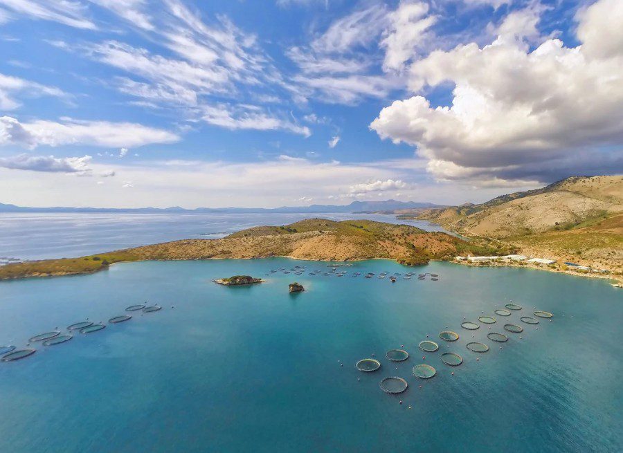 Στην καναδική Cooke περνά η Avramar